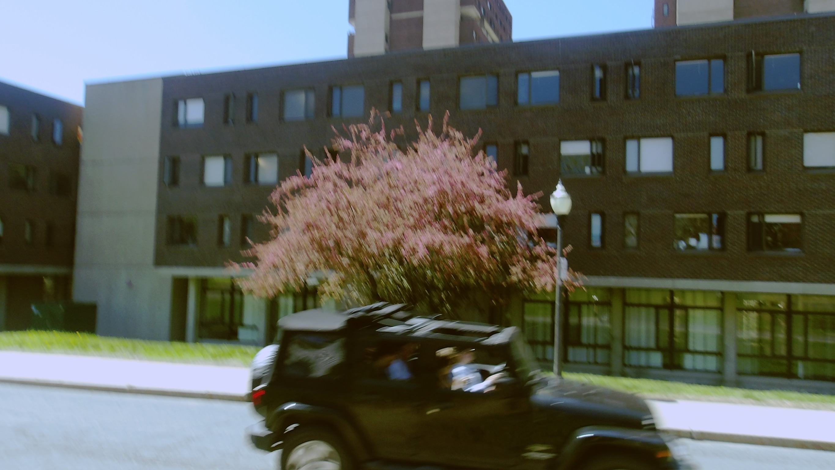 UMASS SPRING 26 photo
